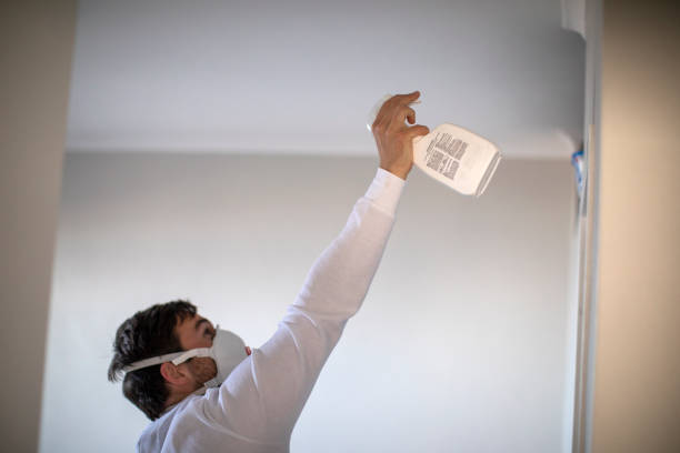 Best Residential Mold Remediation in Chetopa, KS