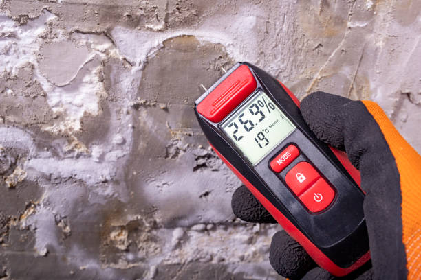 Best Industrial Mold Remediation in Chetopa, KS