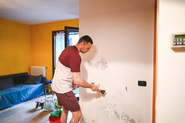 Best Mold Testing and Inspection Services in Chetopa, KS